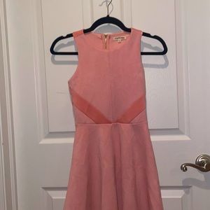 Pink Velvet Dress